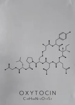 Plakat Oxytocin