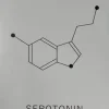 Plakat Serotonin
