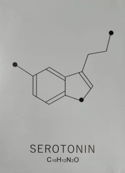 Plakat Serotonin